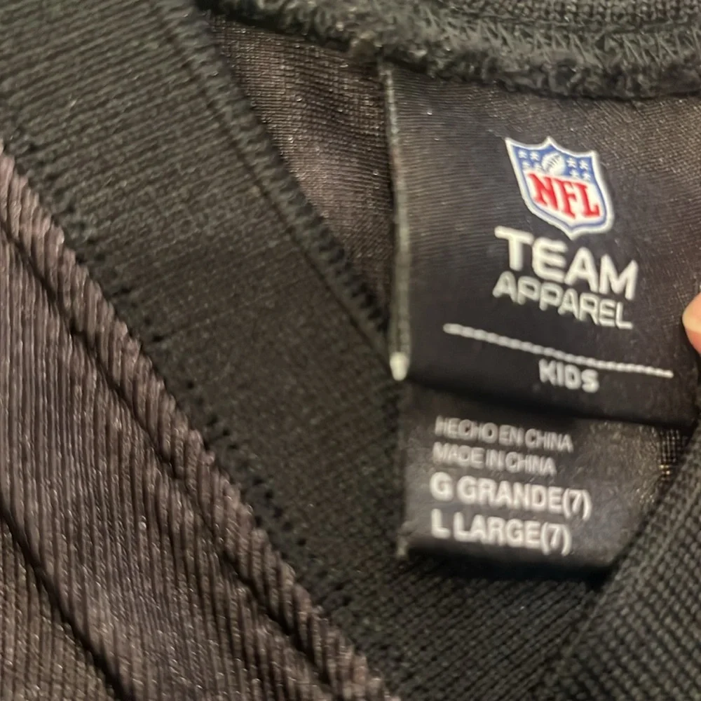 Steelers Troy Polamalu NFL jersey - Picture 2 of 5